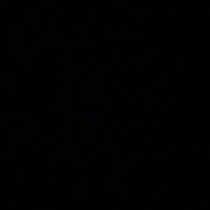 Meet your Posher, Kristina